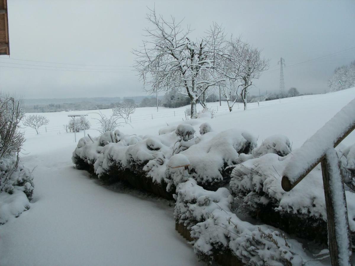Les Bouc'Tins Vila Molain  Exterior foto
